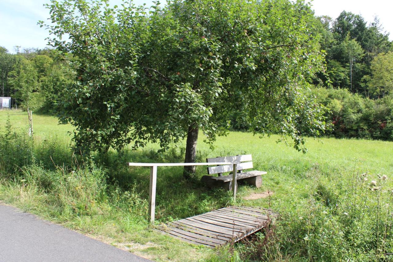 Ferienwohnung Forellenhof Oberschwarzach Exterior foto